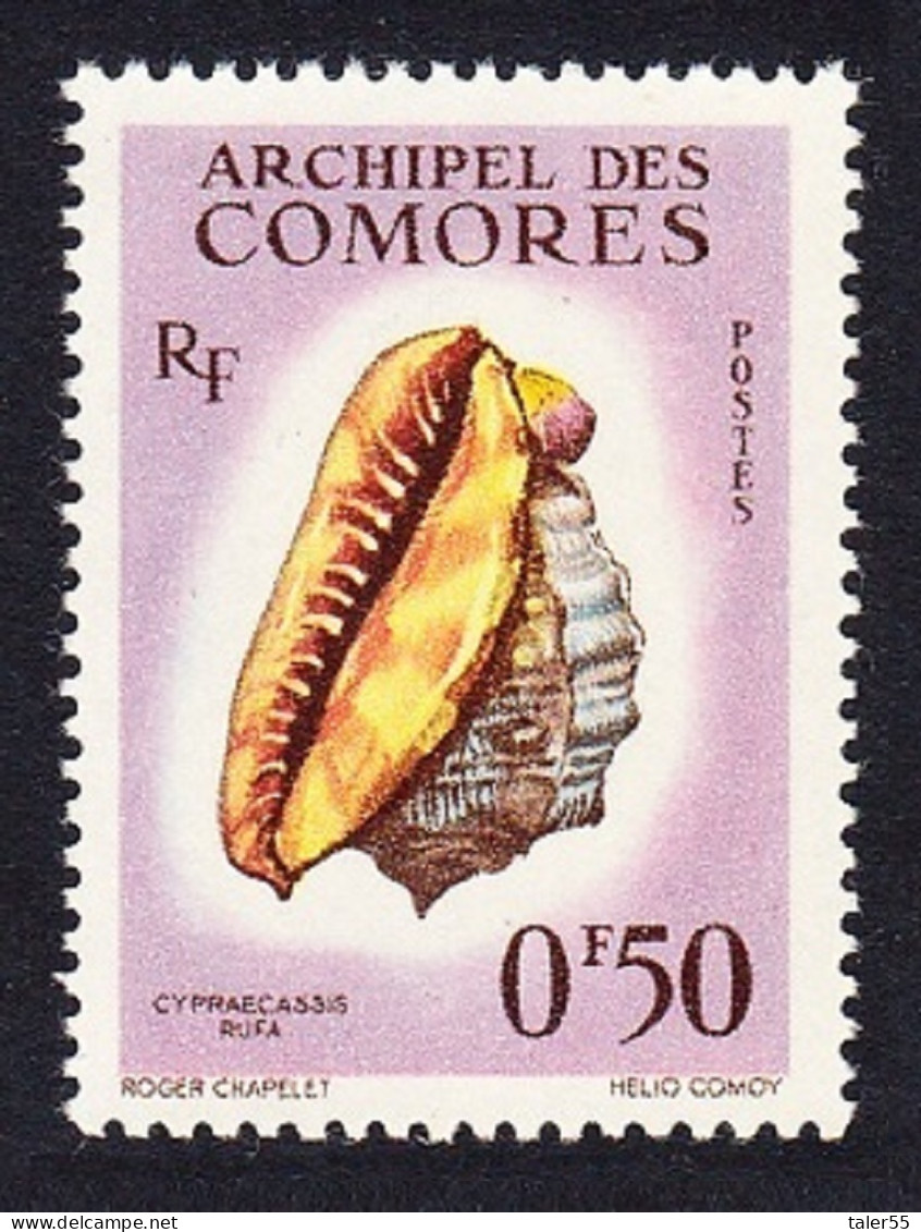 Comoro Is. Sea Shell 'Cypraecassis Rufa' 50c 1962 MNH SG#23 MI#42 Sc#48 - Autres & Non Classés