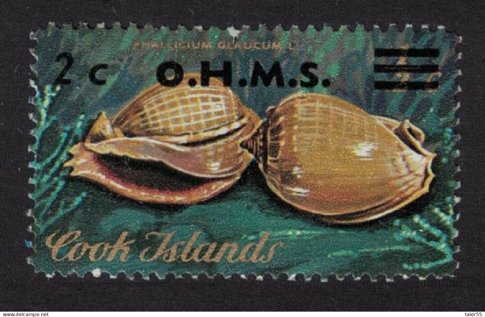 Cook Is. Grey Bonnet Shells 'O.H.M.S.' 1978 MNH SG#O17 - Islas Cook