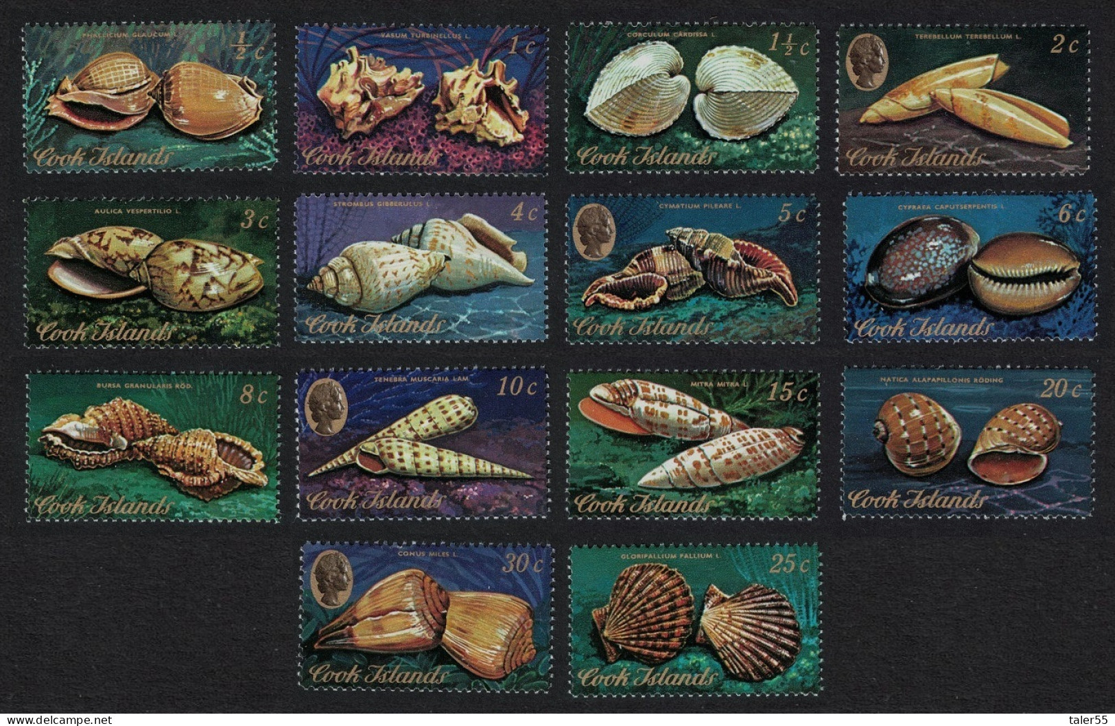 Cook Is. Shells 14v 1974 MNH SG#466-481 Sc#381-394 - Islas Cook