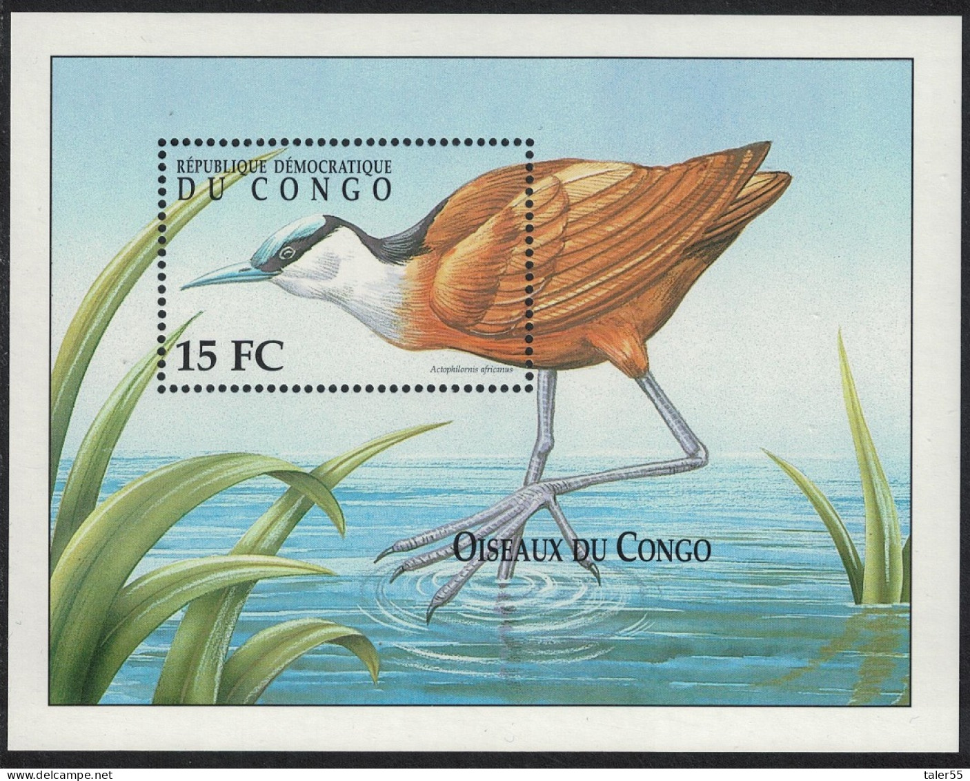 DR Congo African Jacana 'Actophilornis Africanus' Bird MS 2000 MNH MI#Block 90 - Nuovi