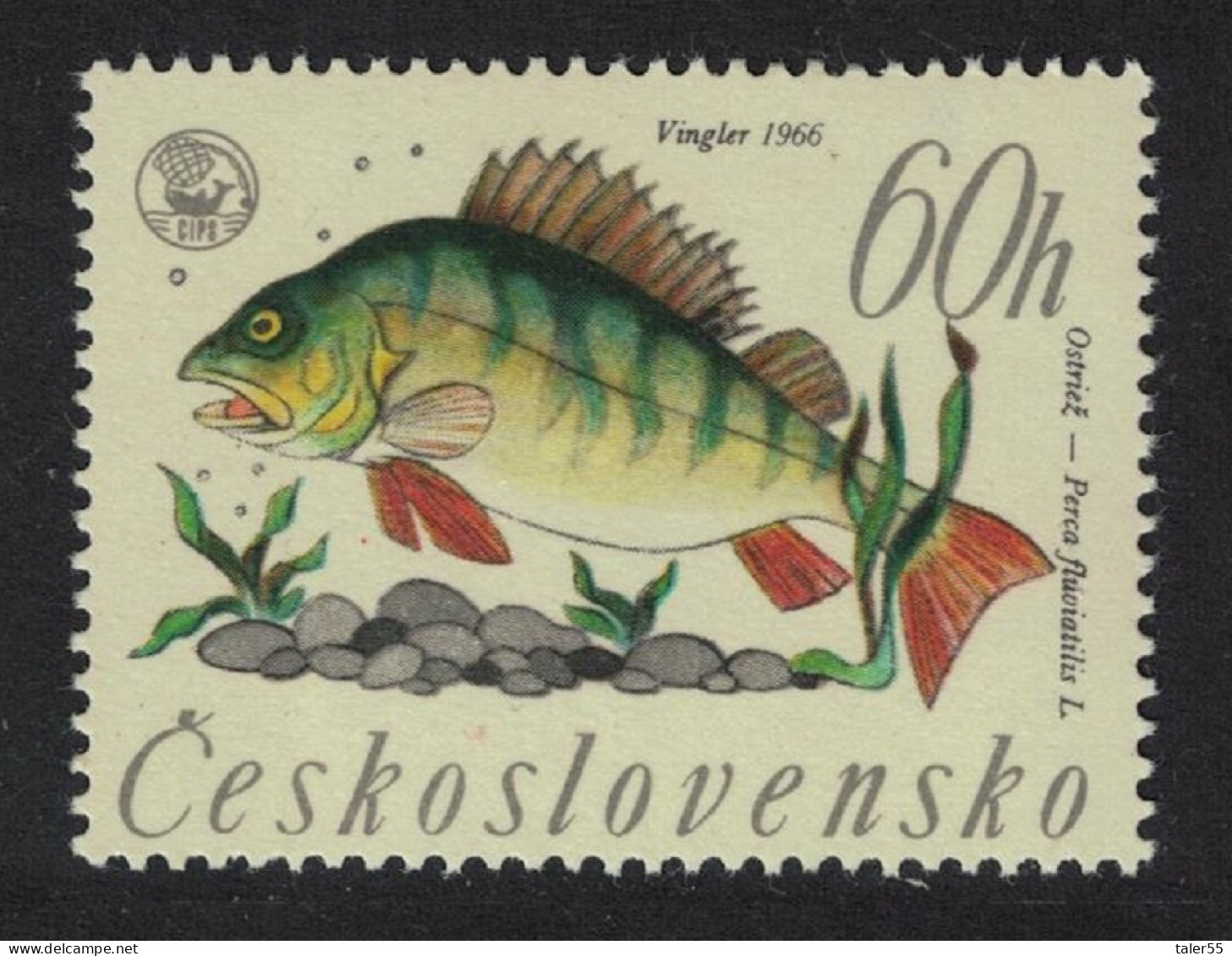 Czechoslovakia World Angling Championship Eurasian Perch Fish 1966 MNH SG#1565 - Neufs