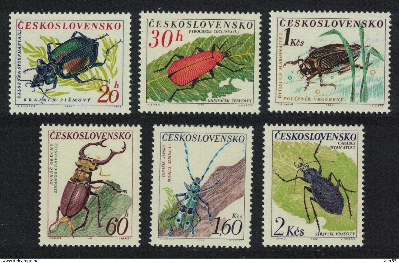 Czechoslovakia Beetles 6v 1962 MNH SG#1326-1331 - Unused Stamps