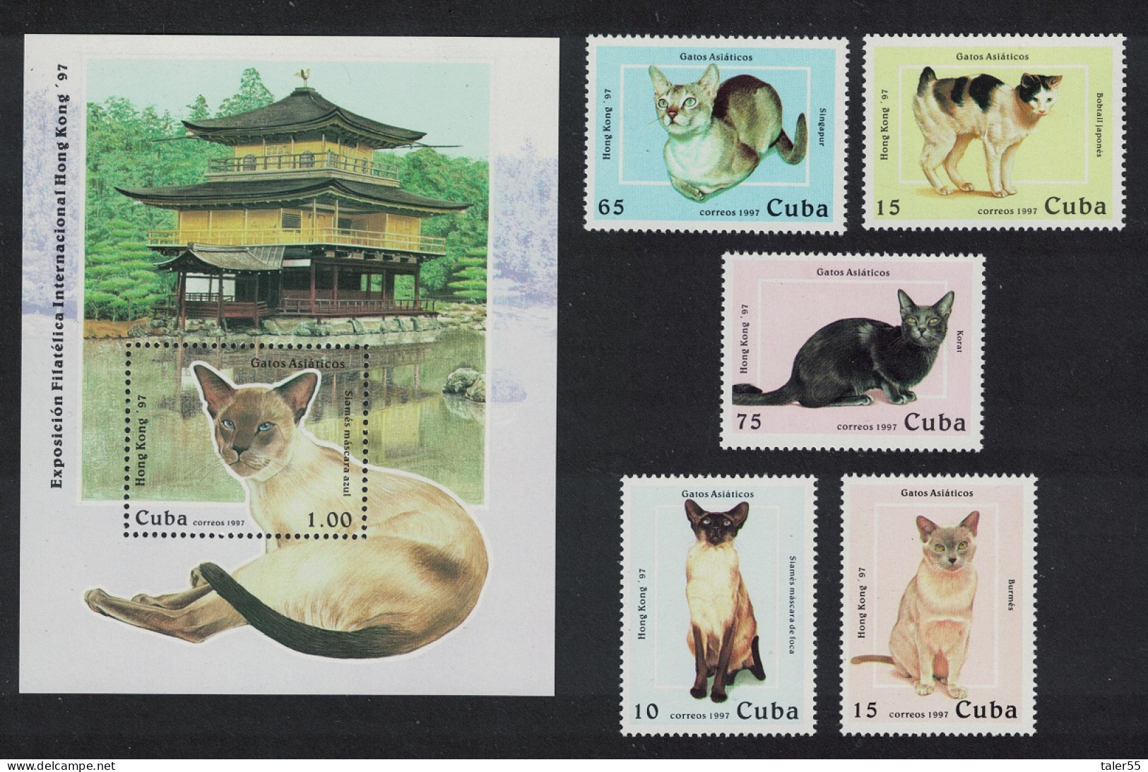 Caribic Cats 5v+MS 1997 MNH SG#4138-MS4143 - Unused Stamps