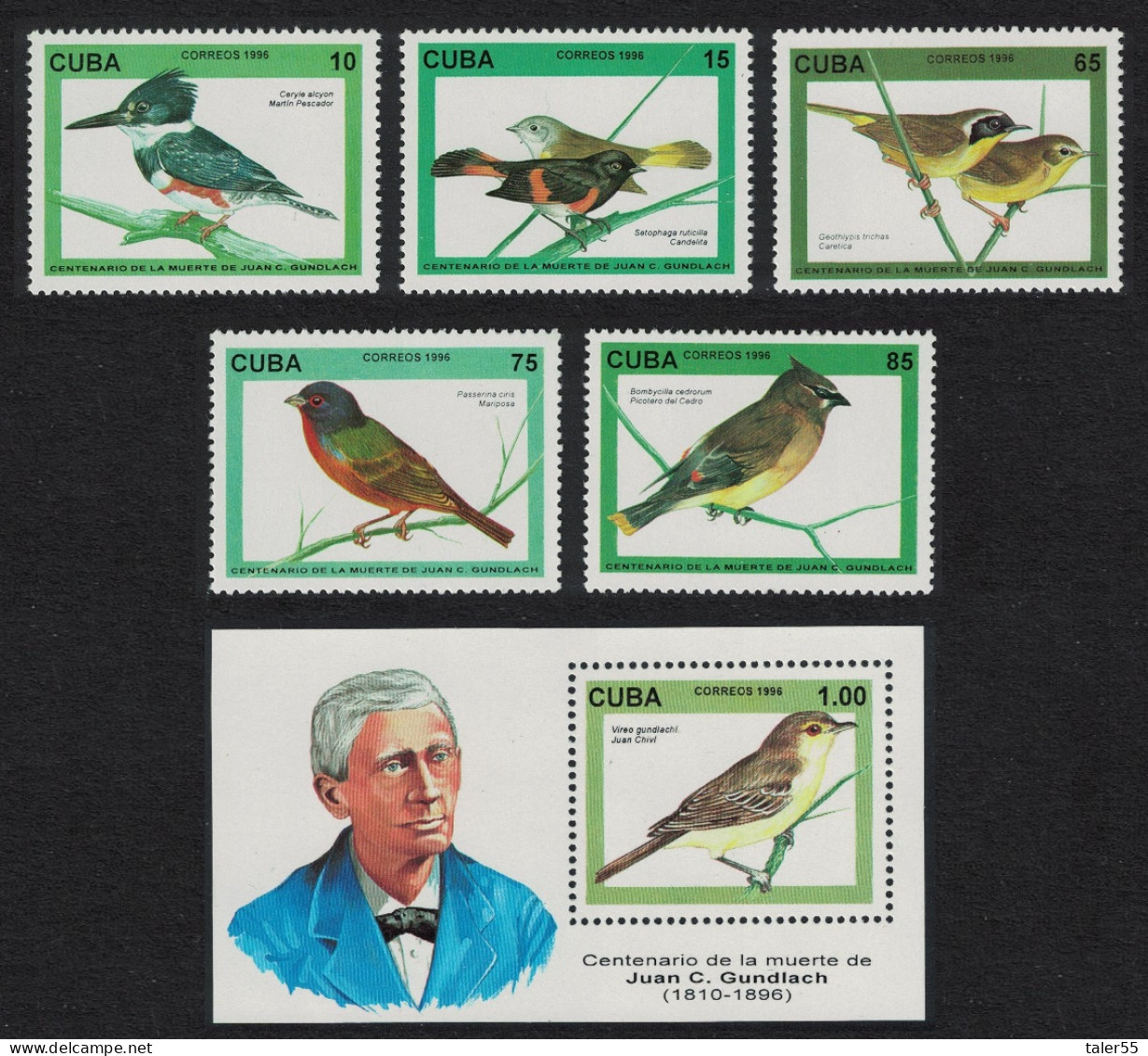 Caribic Birds 5v+MS 1996 MNH SG#4063-MS4068 - Neufs