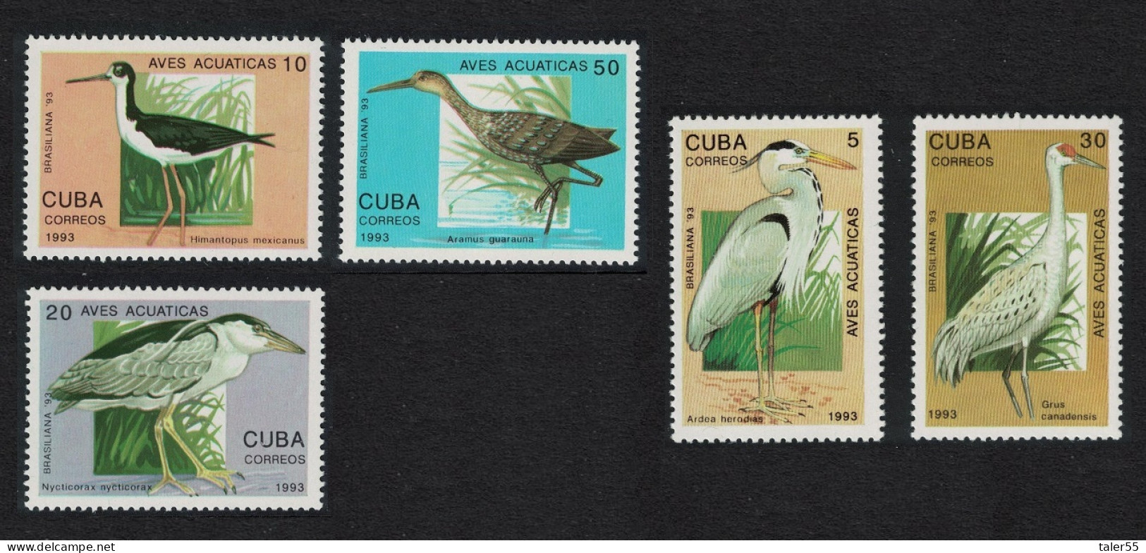 Caribic Water Birds 5v 1993 MNH SG#3828-3833 - Ongebruikt