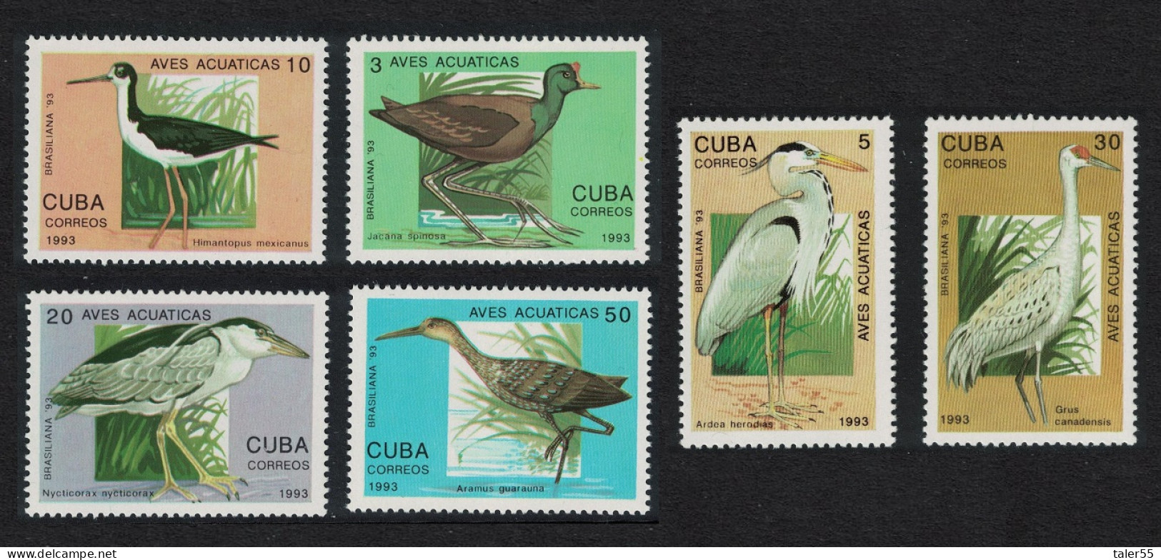 Caribic Water Birds 6v 1993 MNH SG#3828-3833 - Nuovi