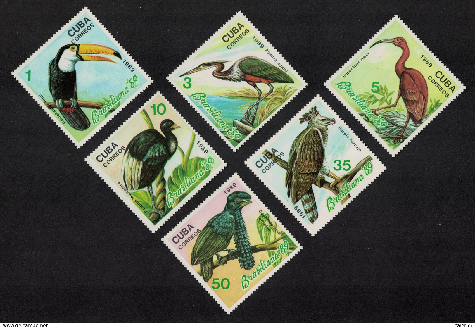 Caribic Birds 6v 1989 MNH SG#3444-3449 - Unused Stamps