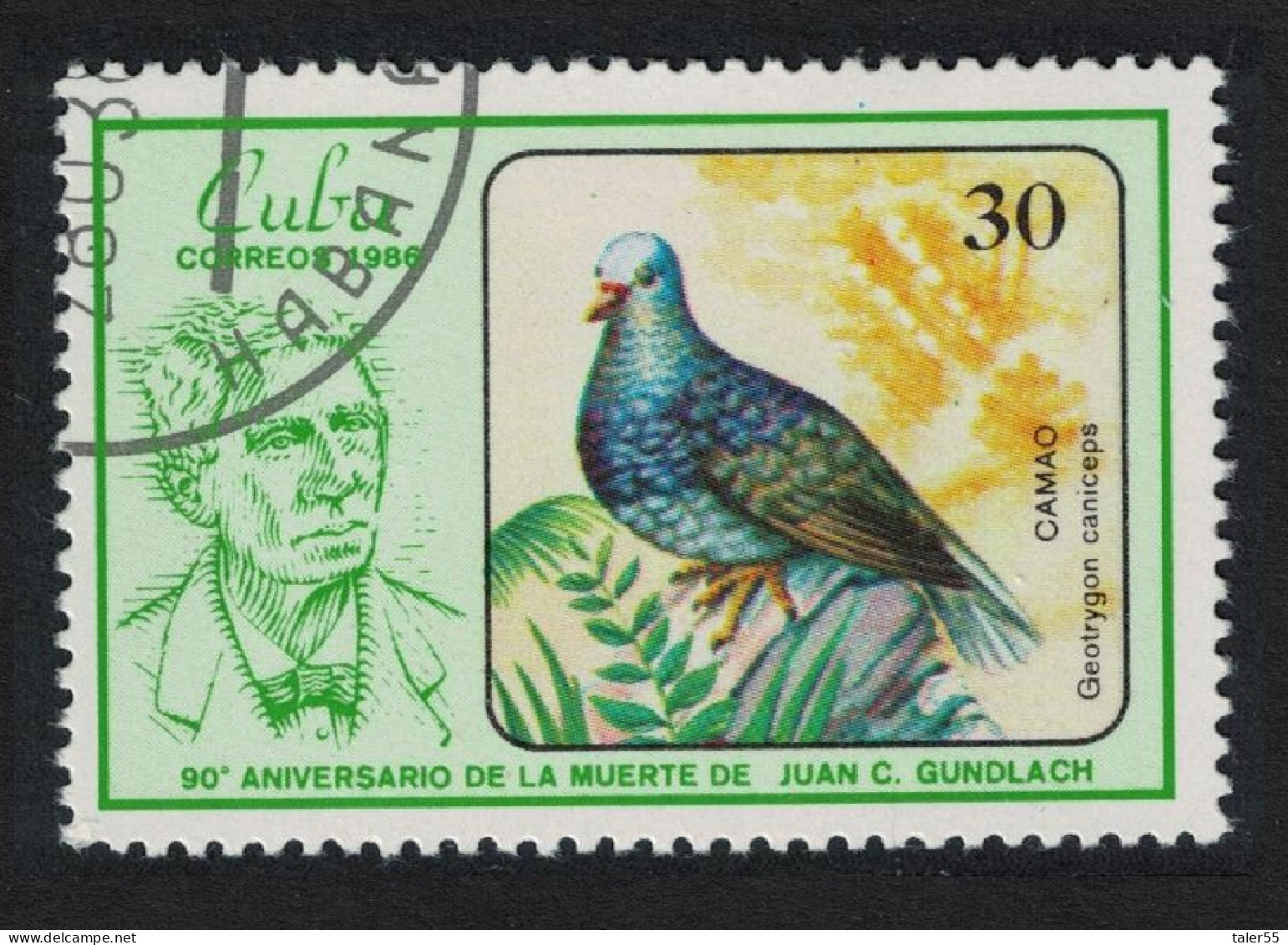 Caribic Grey-faced Quail Dove Bird 1986 MNH SG#3156 - Unused Stamps