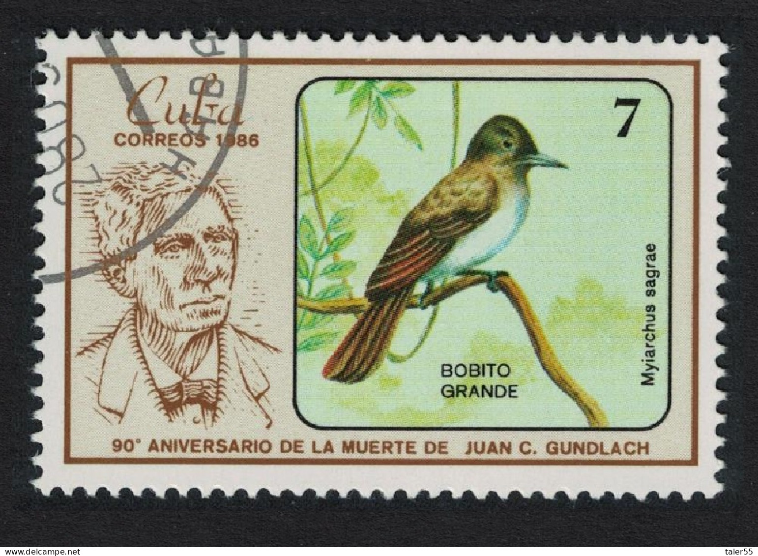 Caribic La Sagra's Flycatcher Bird 1986 MNH SG#3154 - Nuovi