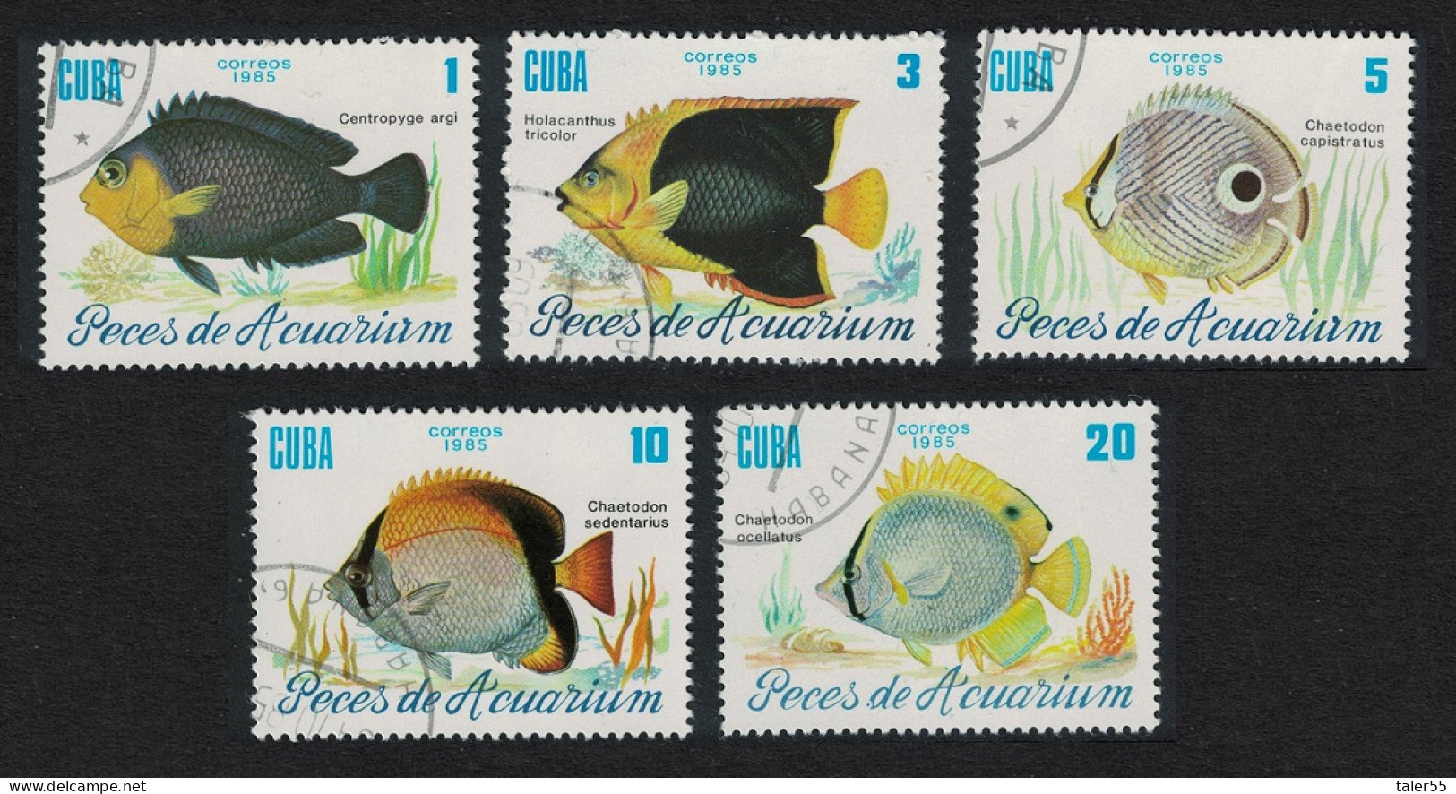 Caribic Fish 5v 1985 MNH SG#3121-3125 - Nuevos