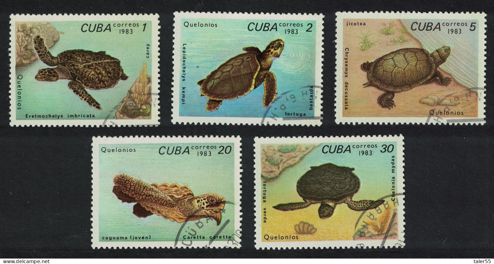 Caribic Turtles 5v 1983 MNH SG#2923-2927 - Unused Stamps