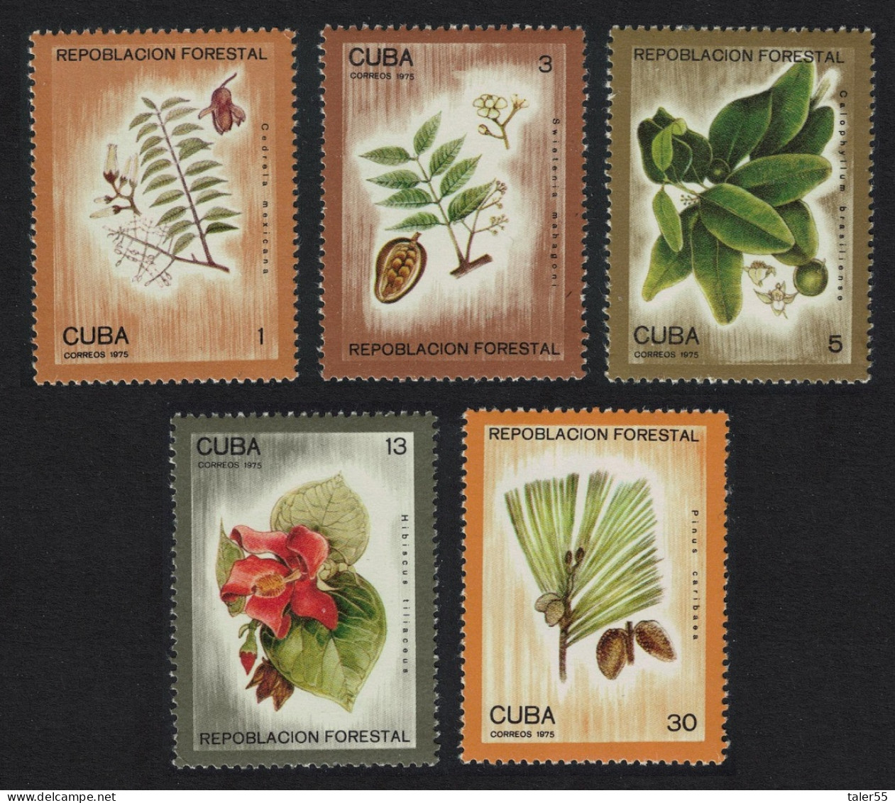 Caribic Trees Flowers Reafforestation 5v 1975 MNH SG#2222-2226 - Ongebruikt