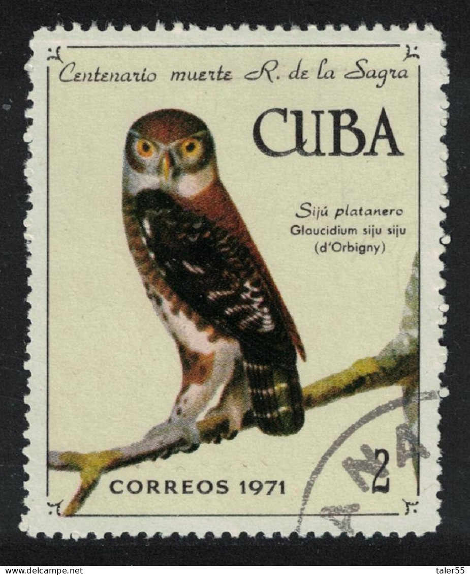 Caribic Pygmy Owl Bird 1971 CTO SG#1891 - Gebruikt