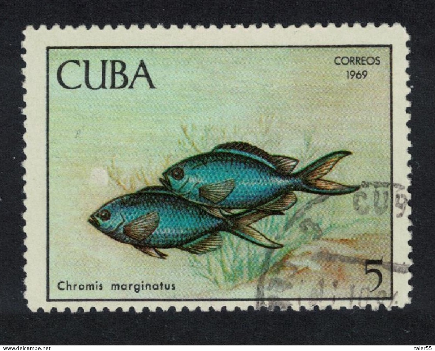 Caribic Blue Chromis Fish Pisciculture 5c 1969 Canc SG#1658 - Gebruikt