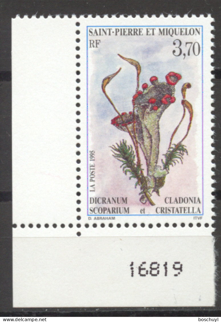 St Pierre And Miquelon, 1995, Plants, Flowers, Nature, MNH, Michel 689 - Unused Stamps