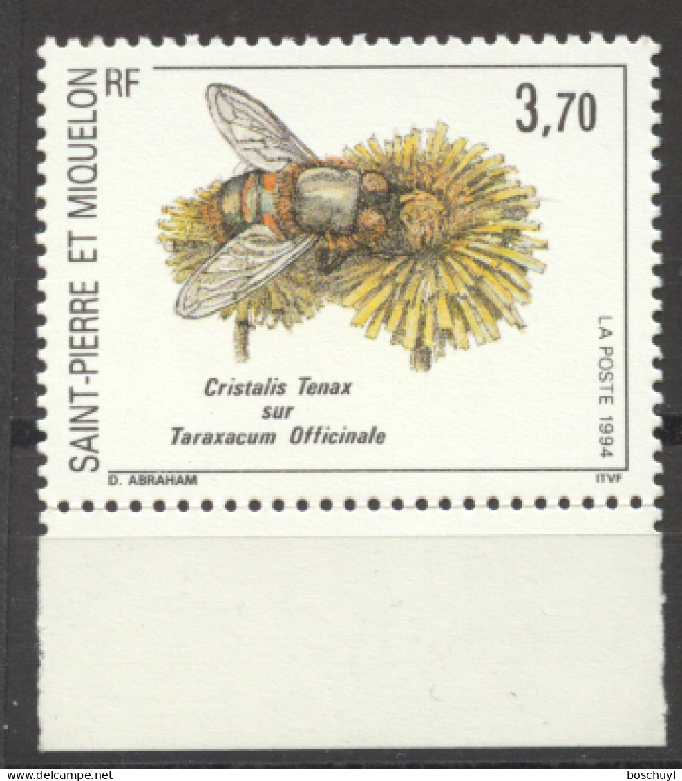 St Pierre And Miquelon, 1994, Fly, Insects, Flowers, Nature, MNH, Michel 672 - Neufs