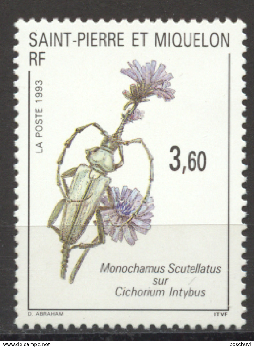 St Pierre And Miquelon, 1993, Beetle, Insects, Flowers, Animals, Nature, MNH, Michel 651 - Nuevos