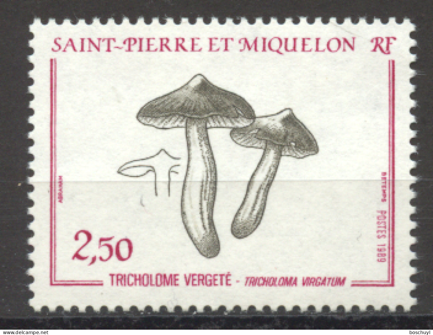St Pierre And Miquelon, 1989, Mushroom, MNH, Michel 569 - Unused Stamps