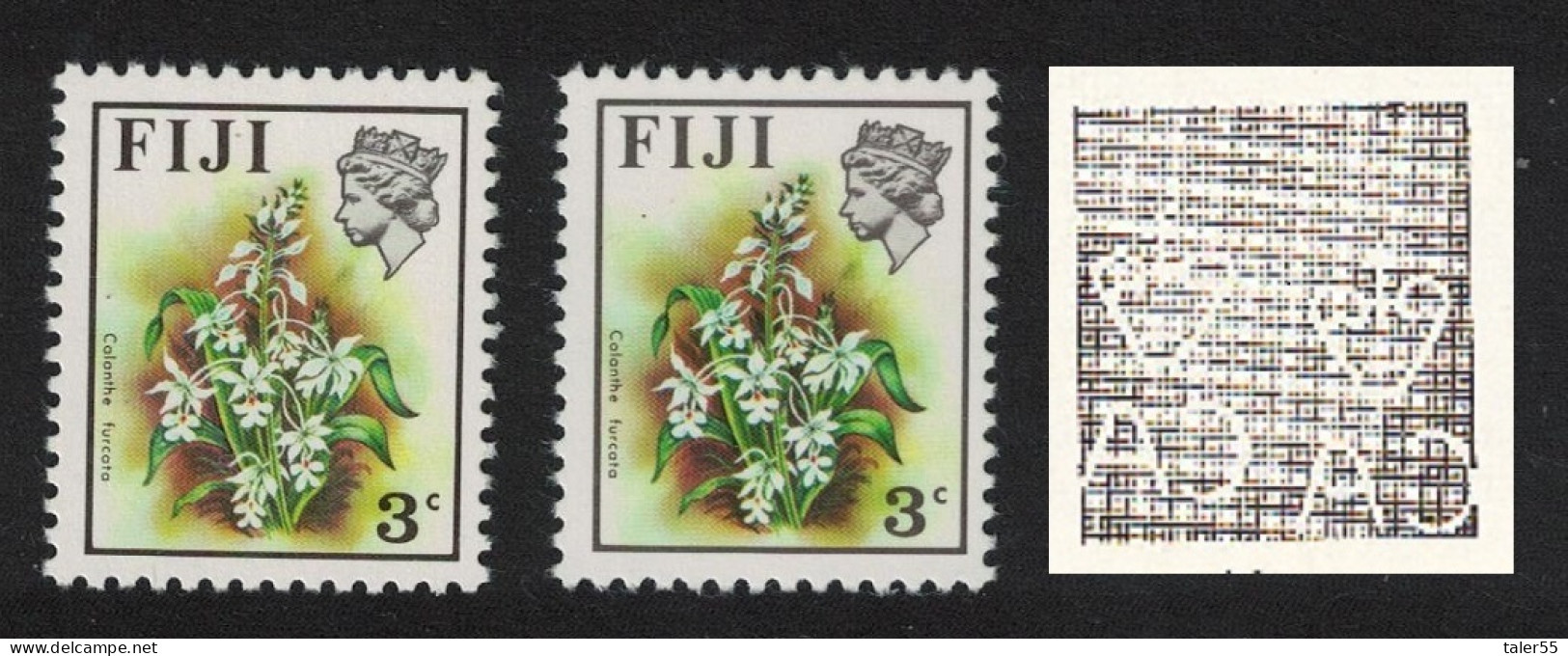 Fiji Orchid' Calanthe Furcata' VARIETY RARR 1975 MNH SG#517var - Fidji (1970-...)