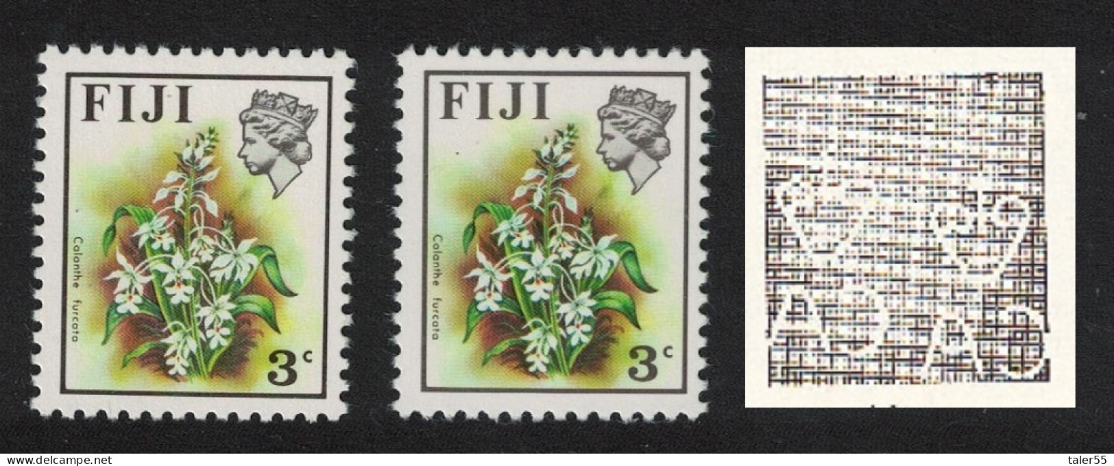 Fiji Orchid' Calanthe Furcata' VARIETY RARR 1975 MNH SG#517var - Fiji (1970-...)