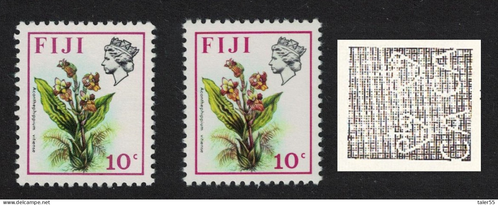 Fiji Orchid 'Acanthephippium Vitiense' VARIETY RARR 1975 MNH SG#512var - Fiji (1970-...)