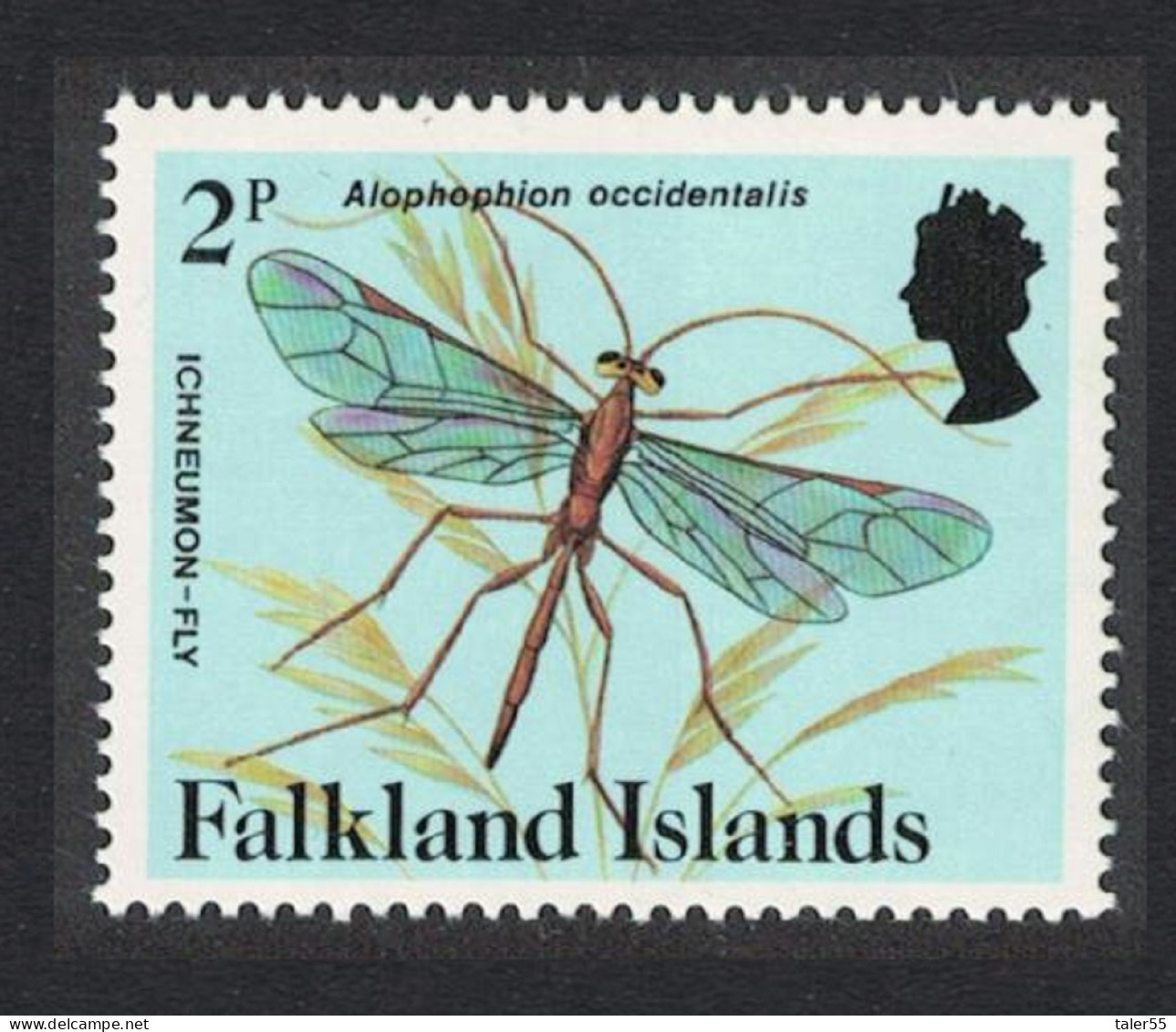 Falkland Is. Ichneumon Fly Insect 'Alophophin Occidentalis' 2p 1984 MNH SG#470a - Islas Malvinas