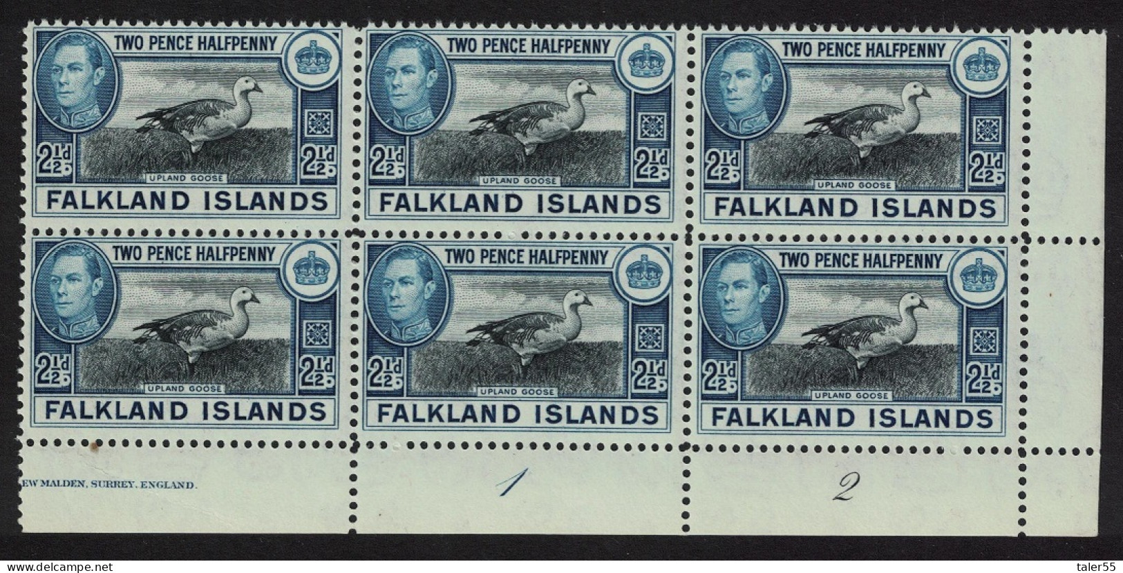 Falkland Is. Birds Upland Magellan Goose 2½d Plate Block Of 6 1949 MNH SG#152 Sc#101 - Islas Malvinas