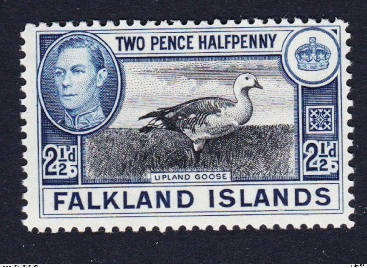 Falkland Is. Birds Upland Magellan Goose 2½d 1949 MNH SG#152 Sc#101 - Falkland