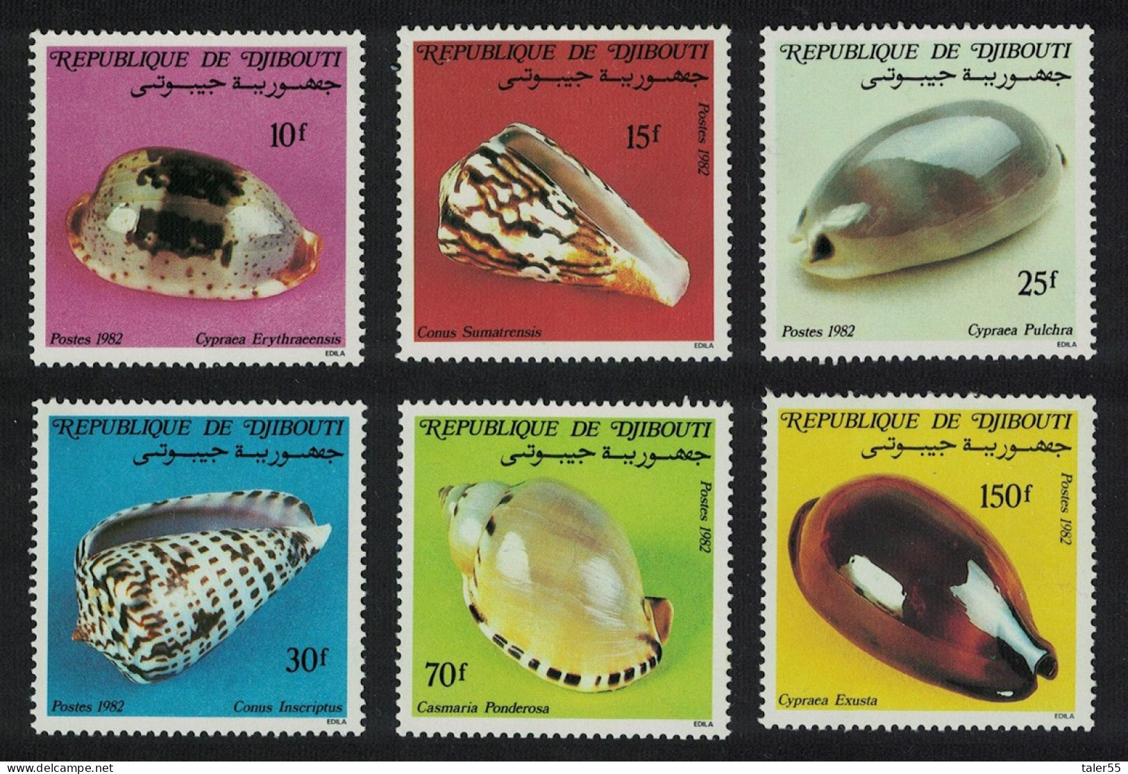 Djibouti Shells 6v 1982 MNH SG#863-868 - Dschibuti (1977-...)