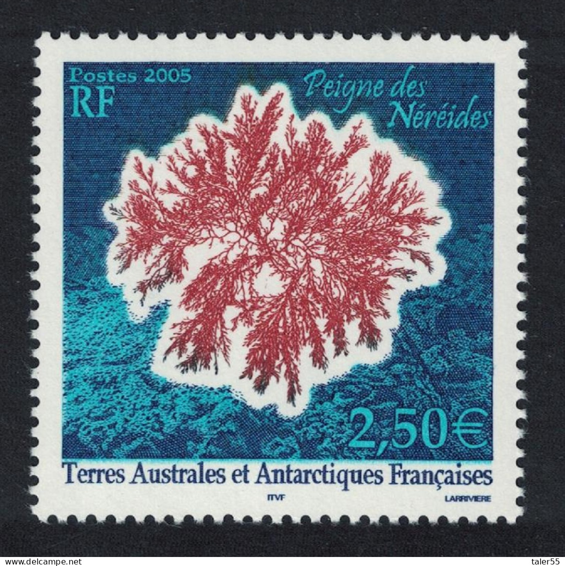FSAT TAAF Peigne De Neriedes Antarctic Flora 2005 MNH SG#537 MI#563 - Unused Stamps