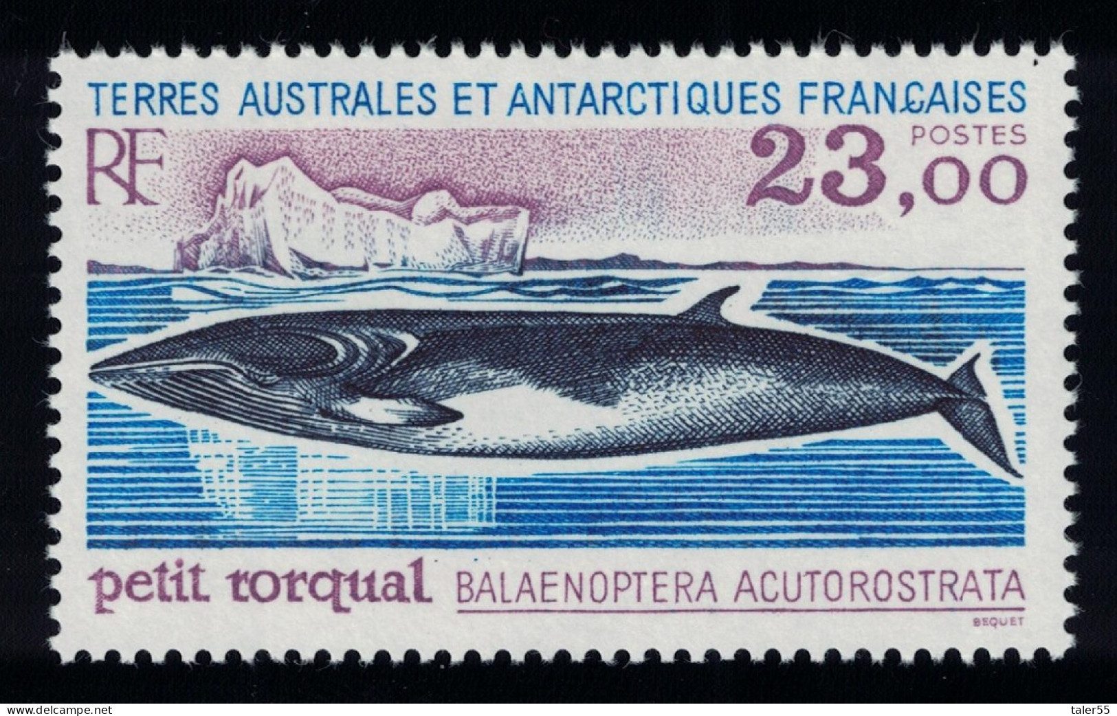 FSAT TAAF Minke Whale 'Balaenoptera Acutorostrata' 1995 MNH SG#342 MI#332 - Ungebraucht