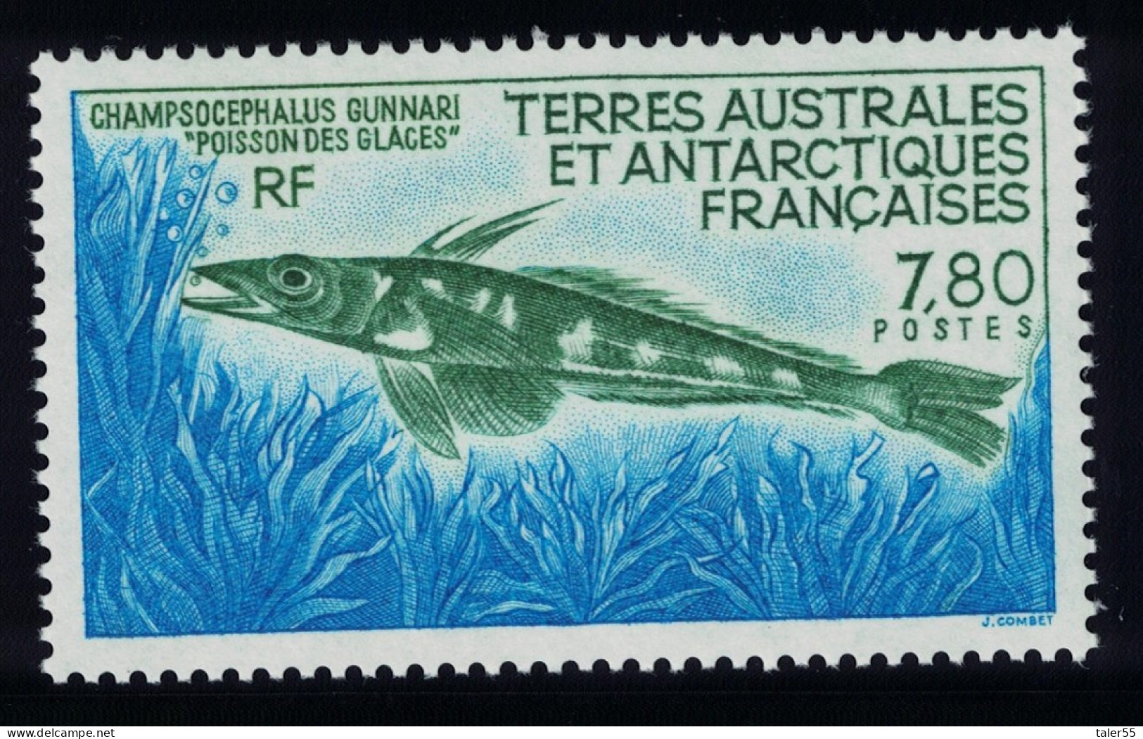 FSAT TAAF Mackerel Icefish 1991 MNH SG#280 MI#275 - Neufs