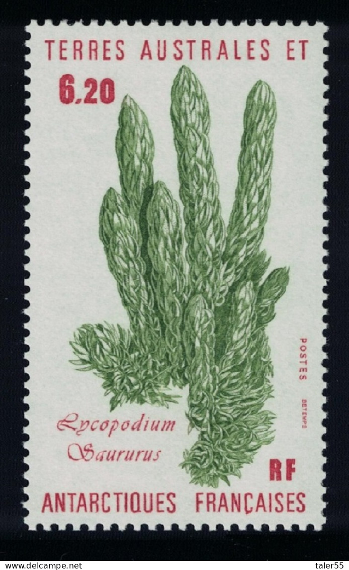 FSAT TAAF 'Lycopodium Saururus' Plant 1986 MNH SG#217 MI#215 - Unused Stamps