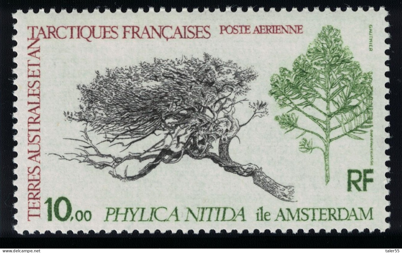 FSAT TAAF Antarctic Flora 'Phylica Nitida' 1980 MNH SG#147 MI#147 - Nuevos