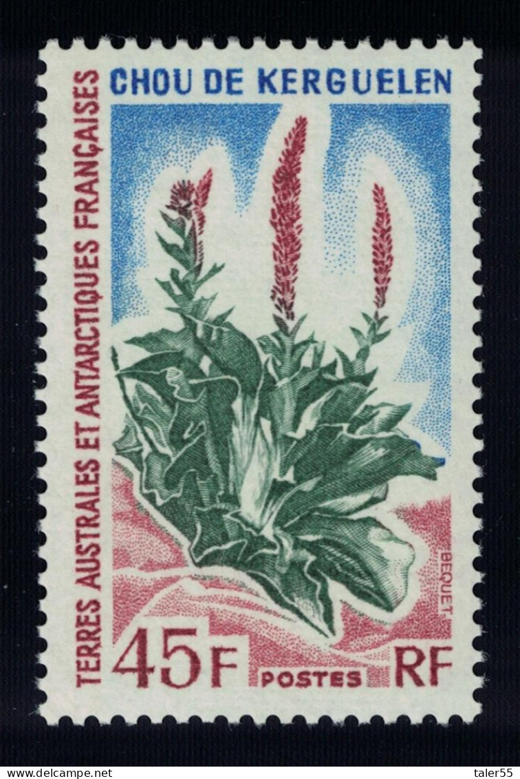 FSAT TAAF Kerguelen Cabbage Antarctic Flora 45f 1972 MNH SG#32 MI#81 Sc#54 - Nuevos