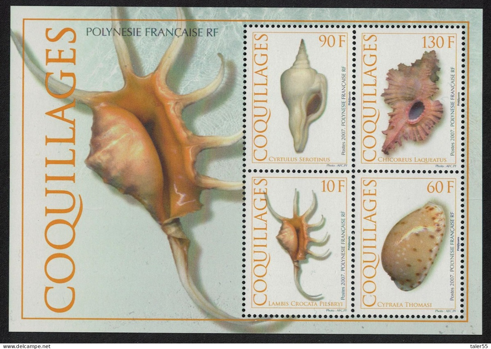 Fr. Polynesia Shells MS 2007 MNH SG#MS1053 MI#Block 33 - Ongebruikt