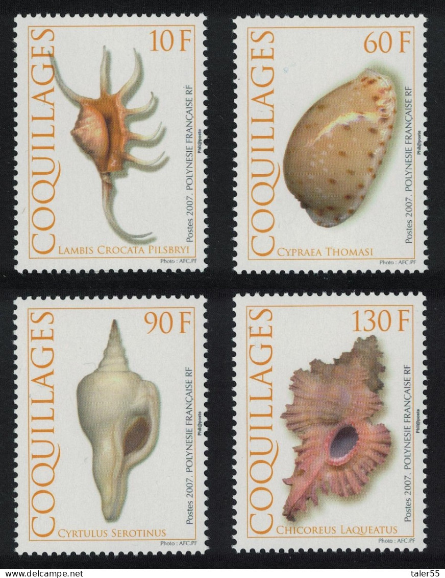 Fr. Polynesia Shells 4v 2007 MNH SG#1049-1052 - Ungebraucht