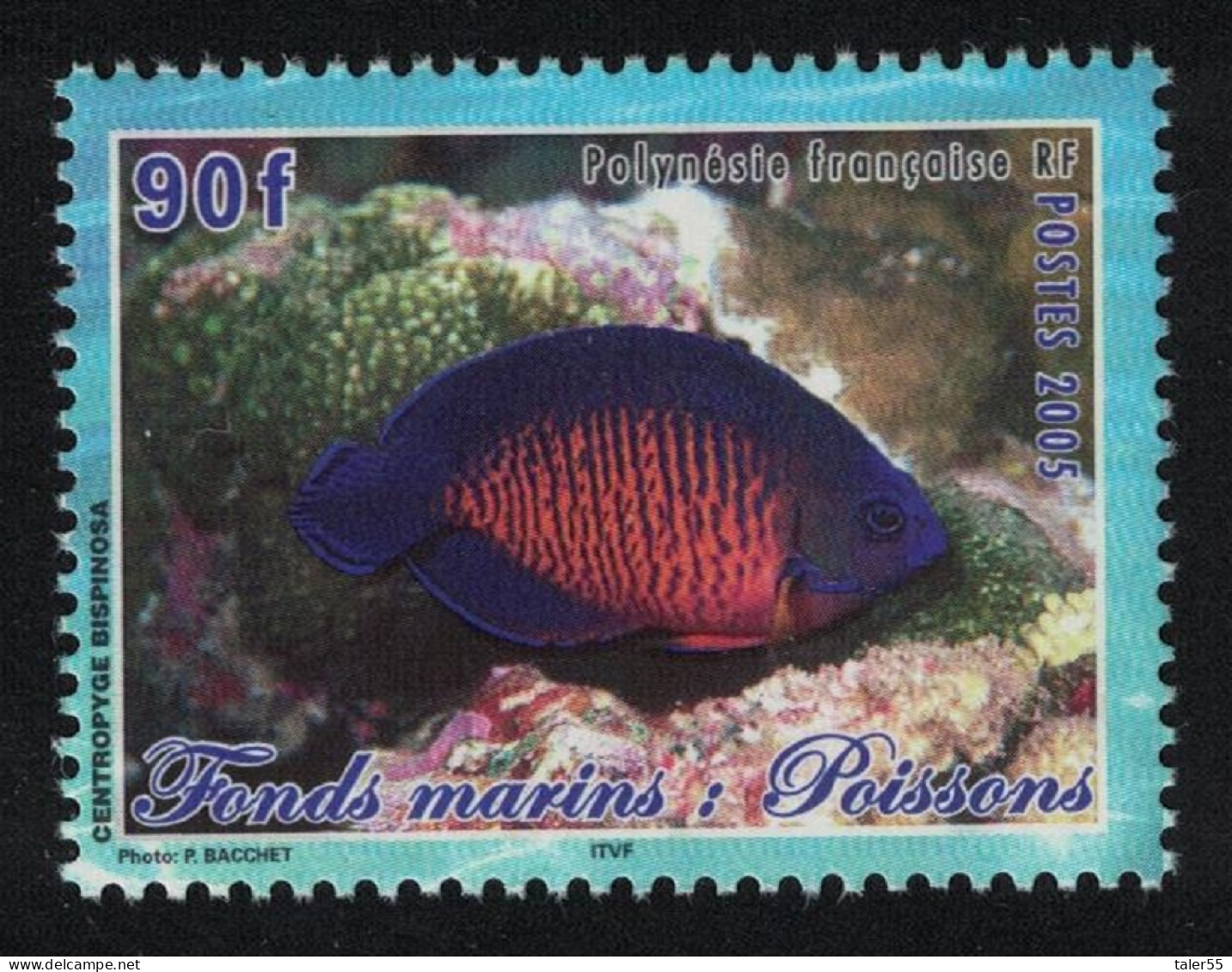 Fr. Polynesia Fish Centropyde Bispinosa 90f 2005 MNH SG#999 MI#944 - Nuovi