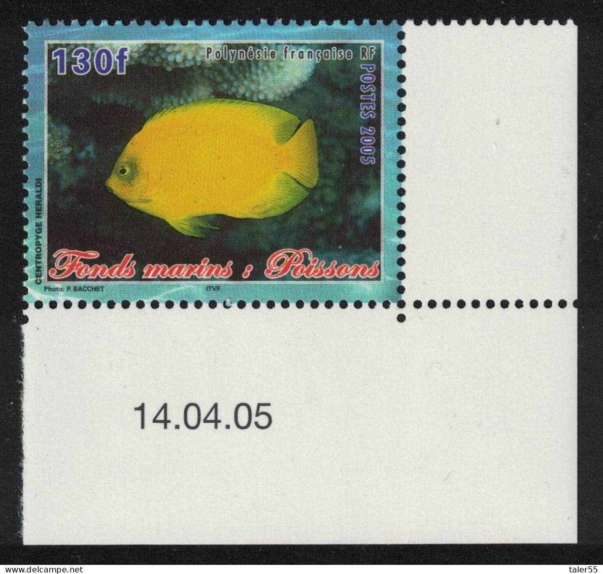 Fr. Polynesia Fish Centropyde Heraldi 130f Corner 2005 MNH SG#1001 MI#946 - Unused Stamps