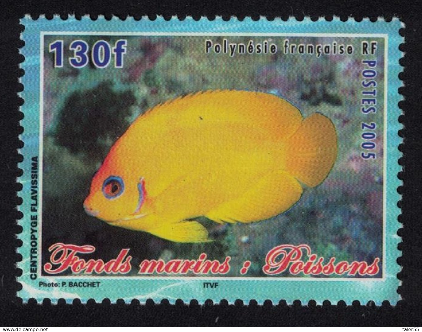 Fr. Polynesia Fish Centropyde Flavissima 130f 2005 MNH SG#1002 MI#947 - Neufs