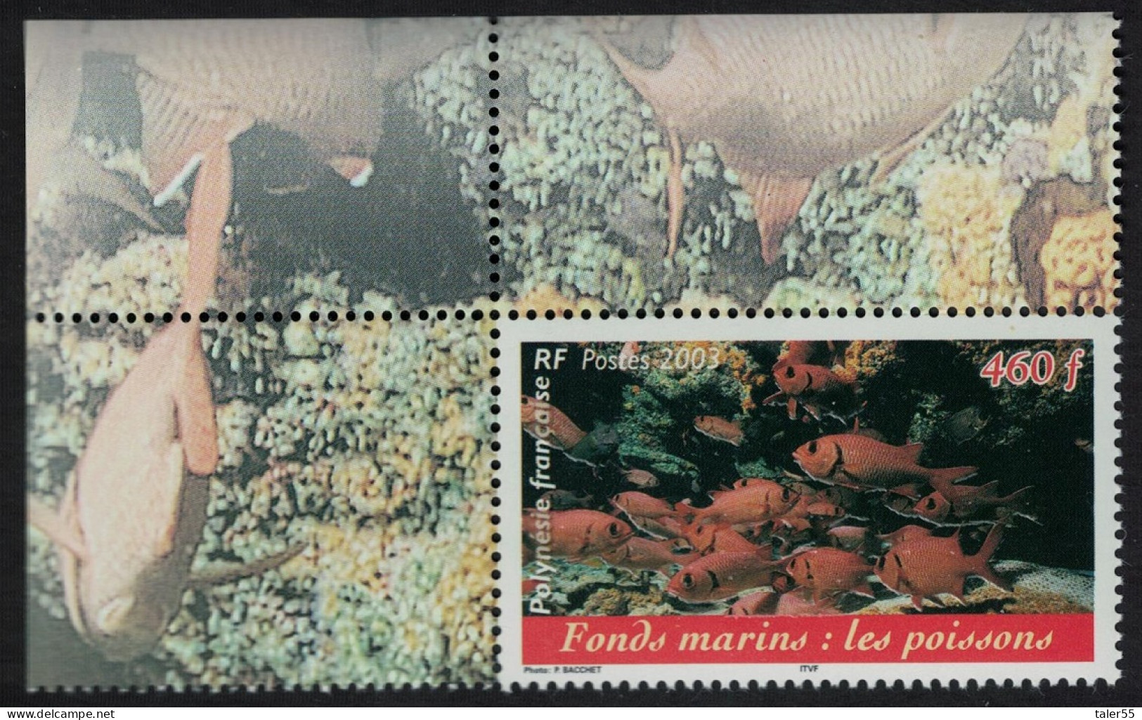 Fr. Polynesia Fish Polynesian Marine Life Corner 2003 MNH SG#957 - Unused Stamps