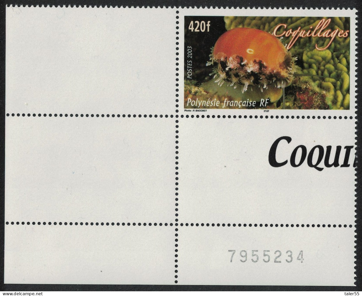 Fr. Polynesia Shellfish Corner Control Number 2003 MNH SG#963 - Unused Stamps