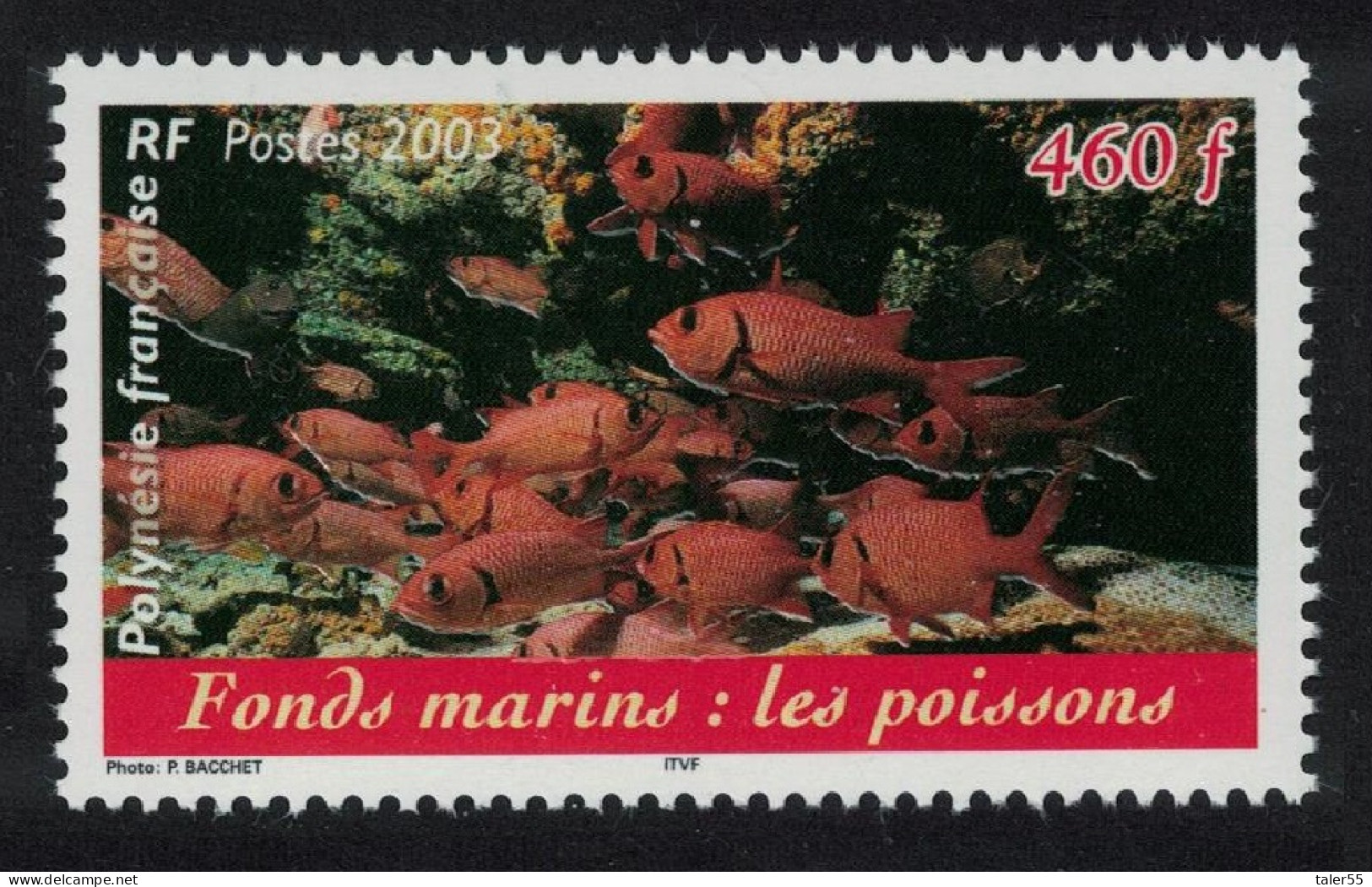 Fr. Polynesia Fish Polynesian Marine Life 2003 MNH SG#957 - Nuevos