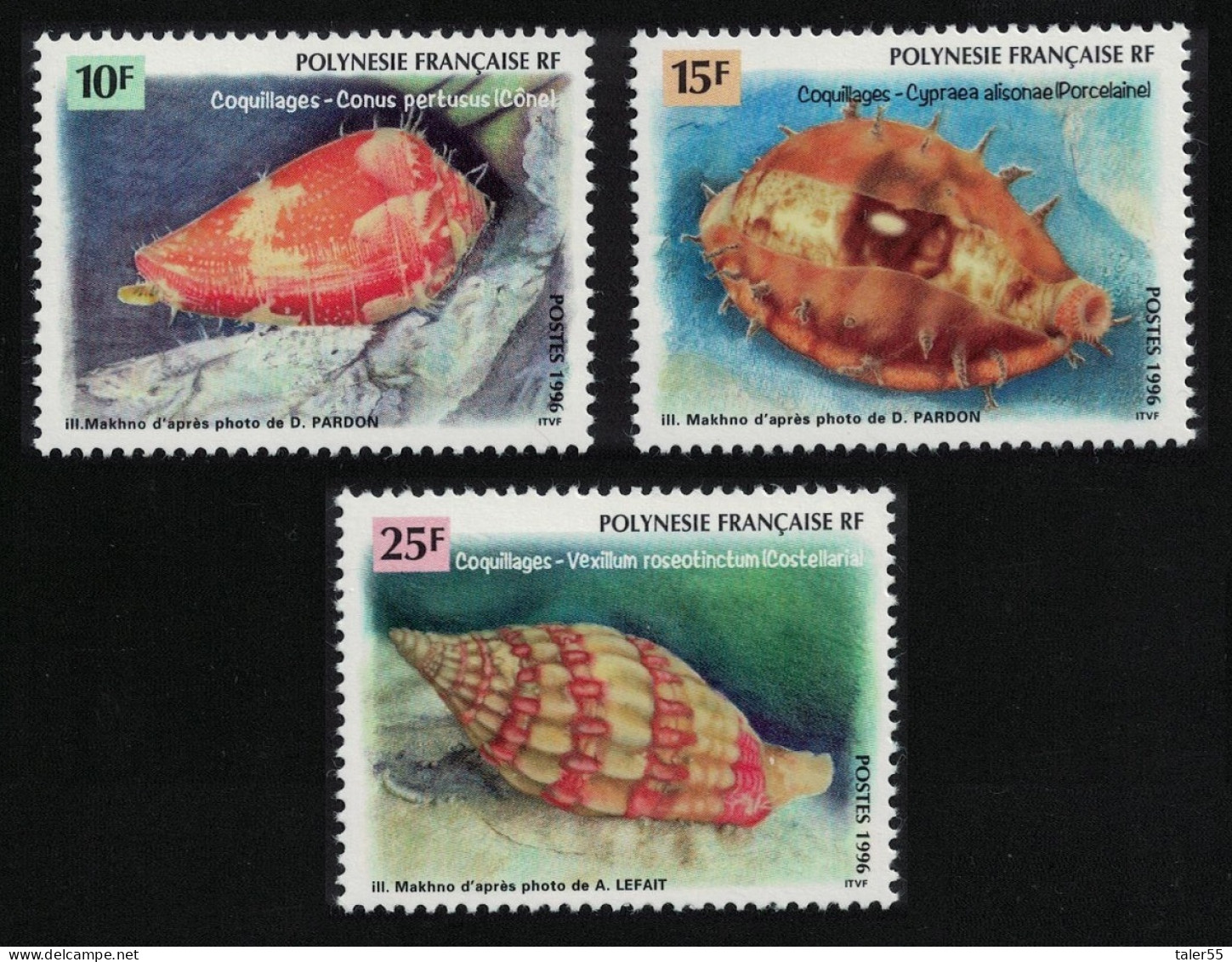 Fr. Polynesia Sea Shells 3v 1996 MNH SG#749-751 - Unused Stamps