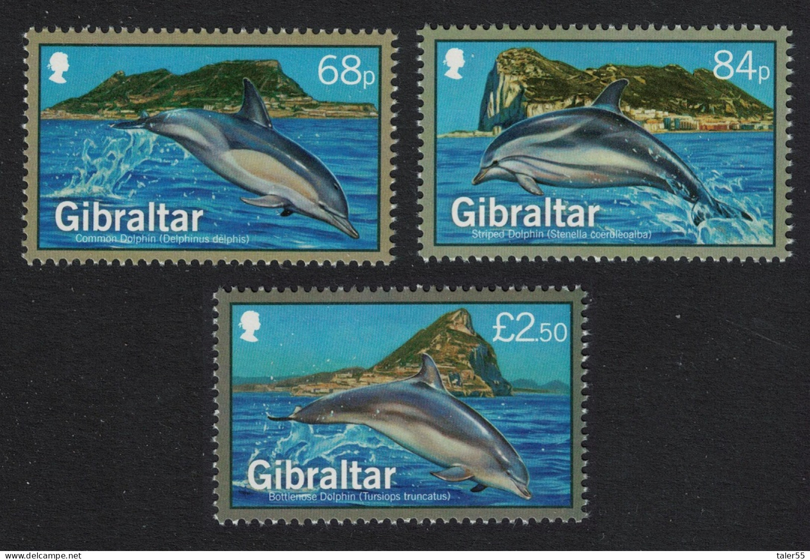 Gibraltar Dolphins 3v High Values FV£4.02 2014 MNH SG#1584-1586 - Gibilterra
