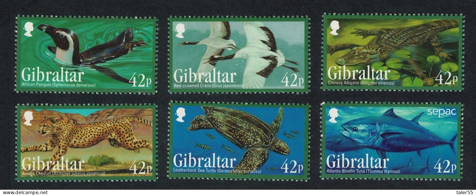 Gibraltar Penguin Crane Birds Cheetah Tuna Fish Alligator Turtle 6v 2013 MNH SG#1531-1536 - Gibilterra