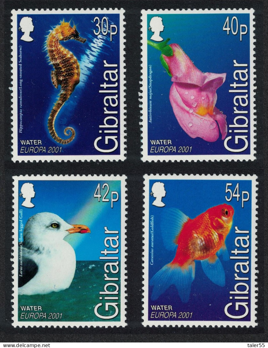 Gibraltar Gull Bird Seahorse Goldfish Fishes Snapdragon Flower 4v 2001 MNH SG#968-971 - Gibilterra
