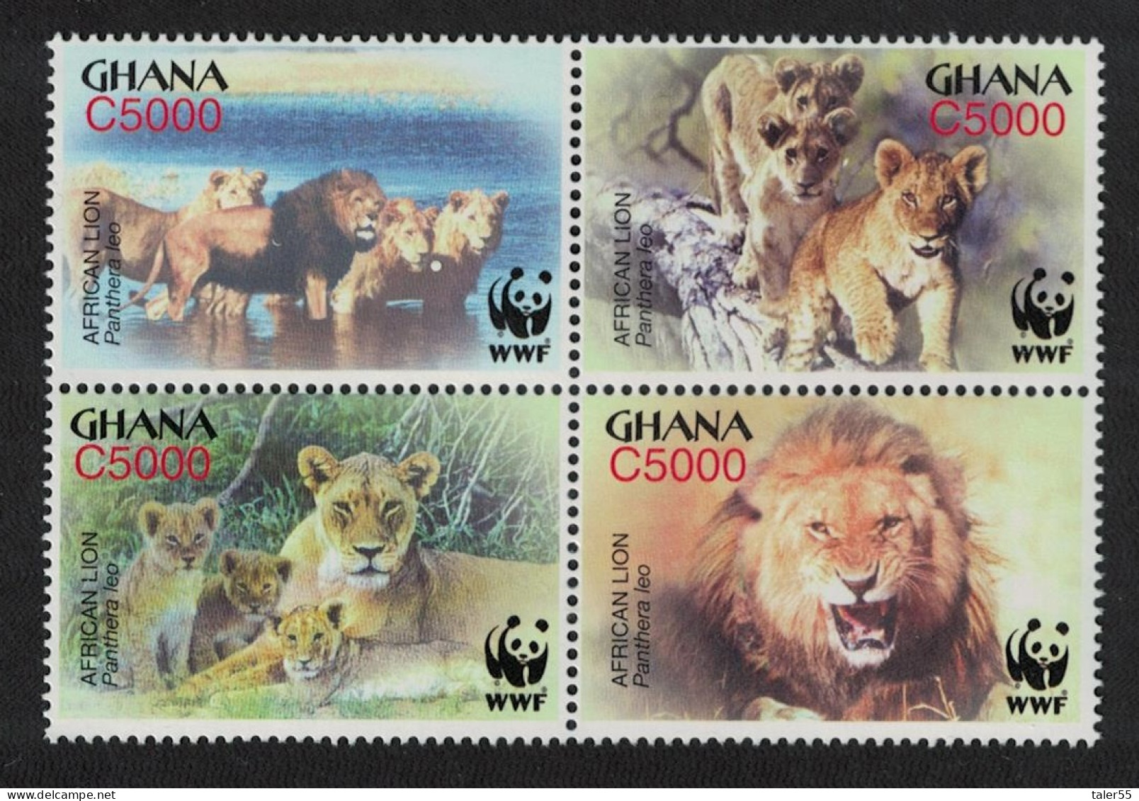 Ghana WWF African Lion 4v Block Of 4 2004 MNH SG#3432-3435 MI#3701-3704 Sc#2433 A-d - Ghana (1957-...)