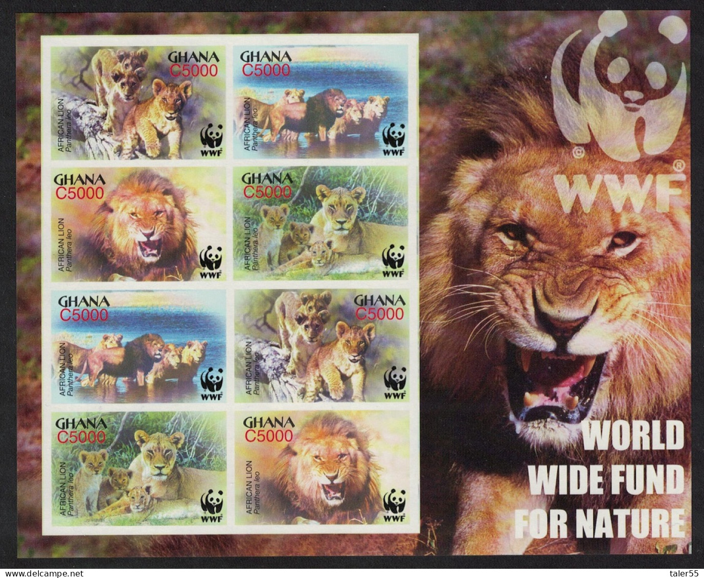 Ghana WWF African Lion MS Imperf 2004 MNH SG#MS3436 MI#3701-3704 Sc#2433 A-d - Ghana (1957-...)