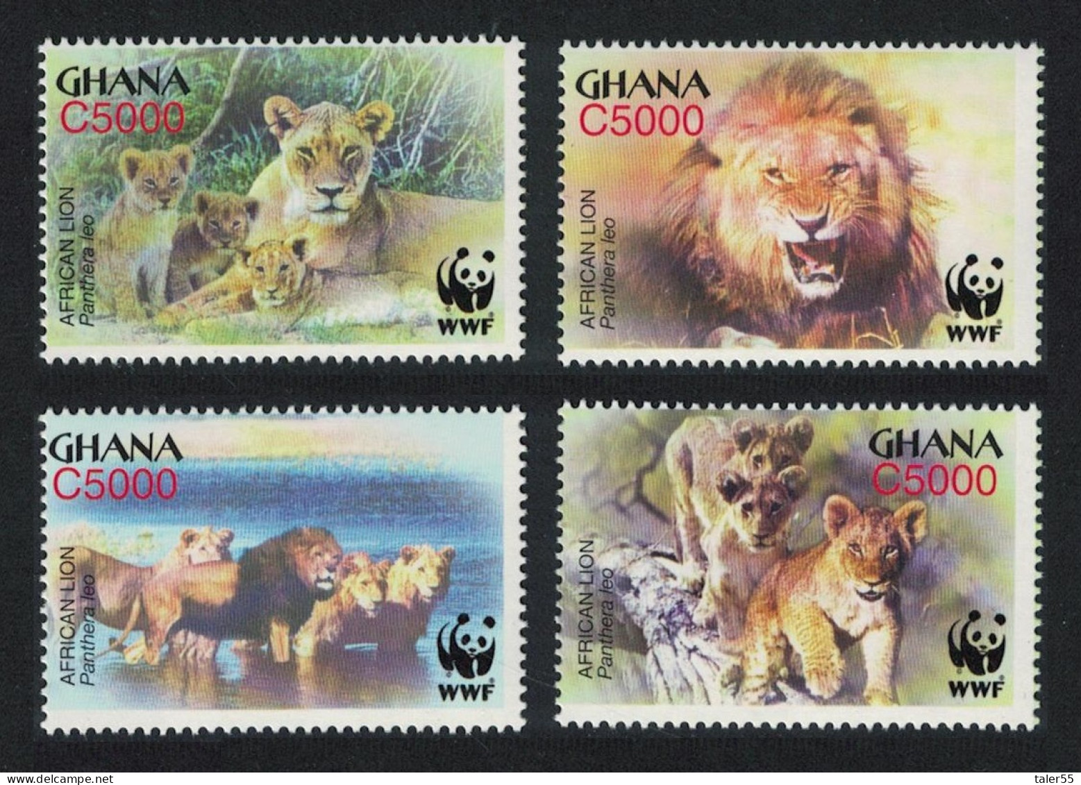 Ghana WWF African Lion 4v 2004 MNH SG#3432-3435 MI#3701-3704 Sc#2433 A-d - Ghana (1957-...)